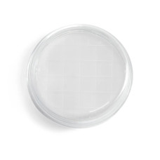 Placa de contacto Rodac poliestireno transparente 65,8 mm fabricación aséptica