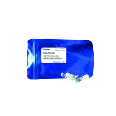 Marcador de peso molecular de proteínas preteñido OXGEN para SDS-PAGE