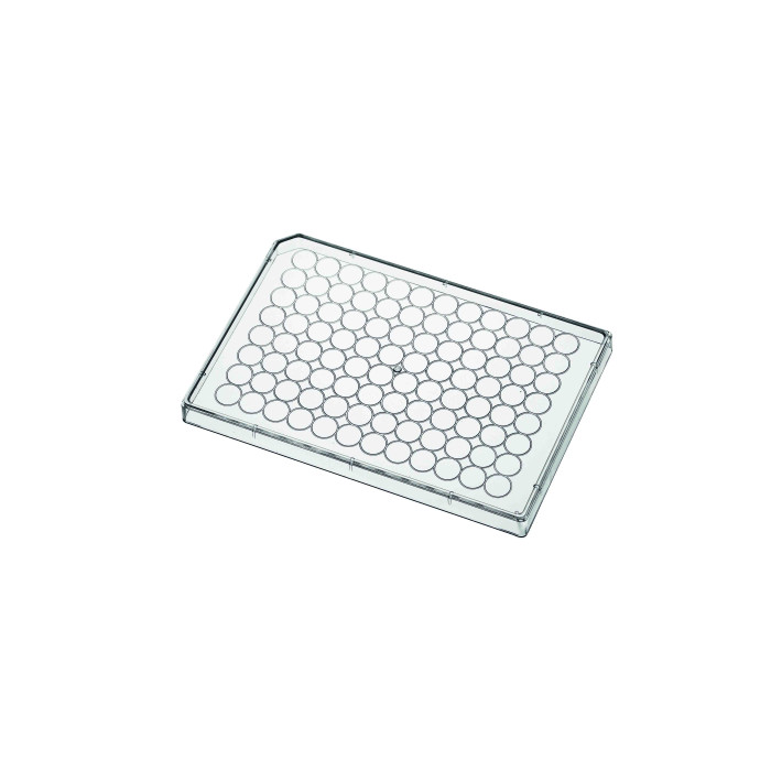 Tiras de tubos de microtitulación poliestireno transparente estériles formato ANSI/SBS