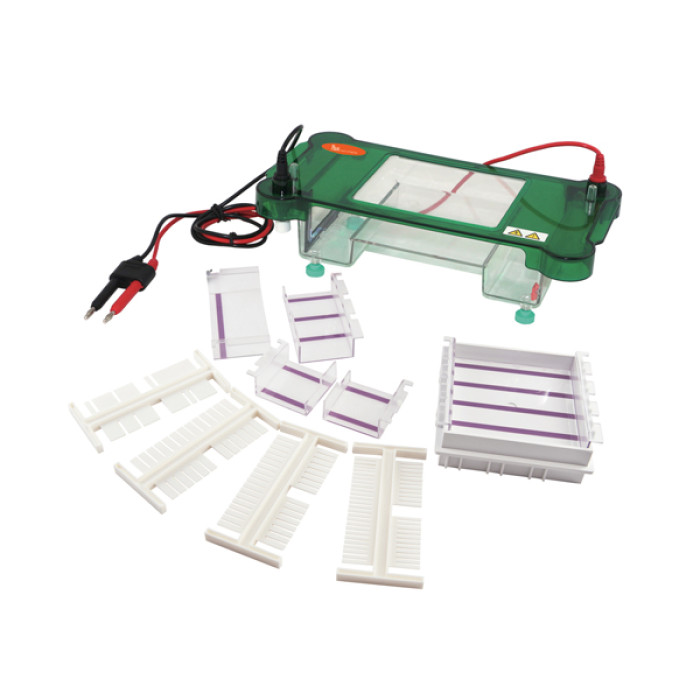 Sistema de Electroforesis Horizontal para Geles de Agarosa con Tapa Transparente y Auto-apagado