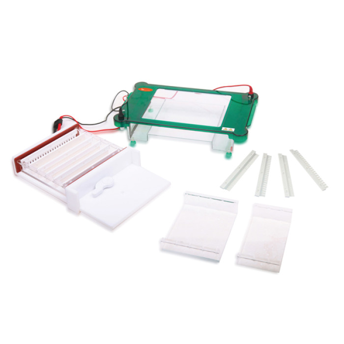 Sistema de Electroforesis Horizontal para Geles de Agarosa con Tapa Transparente y Auto-apagado