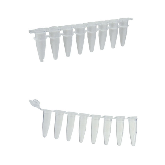 Tiras de 8 microtubos para PCR pared fina polipropileno USP VI libre de DNasa RNasa e inhibidores