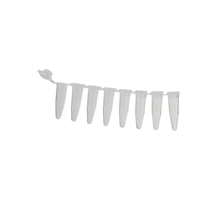 Tiras de 8 microtubos para PCR pared fina polipropileno USP VI libre de DNasa RNasa e inhibidores