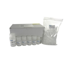 dNEAT Kit de purificación de plásmidos miniprep membrana sílice 24 µg