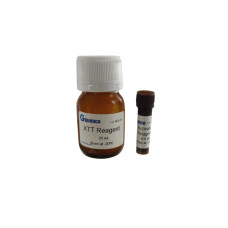Kit de Proliferación Celular XTT — Ensayo Colorimétrico de Viabilidad
