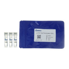 Taq Polimerasa x-VITA recombinante termoestable 5'→3' de Thermus aquaticus