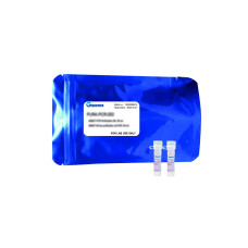 MasterMix qLUMEN para qPCR 2x con sonda TaqMan compatible