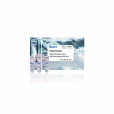 Kit qLUMEN One-Step RT-qPCR con sonda MasterMix 2x