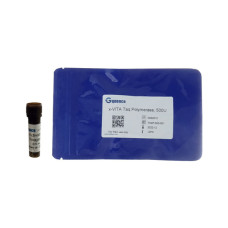Tinte de ADN innoQ para electroforesis — alternativa segura al bromuro de etidio
