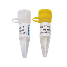 Mix 2X para RT-PCR One-Step con cebadores específicos de gen (GSP) x-VITA