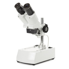Estereoscopio Binocular AP-5 Euromex 20x iluminación incidente y transmitida 12V