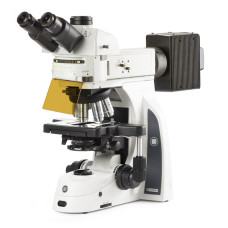 Microscopio Trinocular  DX.3153-APLi