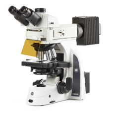 Microscopio Trinocular  DX.3153-APLi/HAL