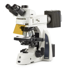 Microscopio Trinocular  DX.3153-PLi/HAL
