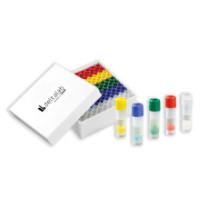 CRYOINSTANT: Crioperlas para la conservación de cepas microbiológicas