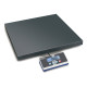 Balanza de plataforma Kern EOE 300K100L