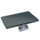 Balanza de plataforma Kern EOE 300K100XL