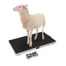 Balanza de plataforma Kern EOS 150K-2 150kg