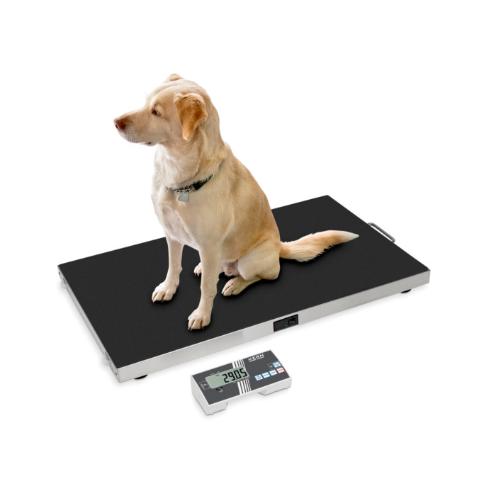 Balanza de plataforma Kern EOS 150K-2 150kg