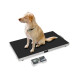 Balanza de plataforma Kern EOS 150K-2 150kg