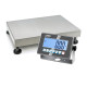 Balanza de plataforma Kern IXC 300K-2M 150kg/300kg