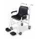 Balanza silla Kern MCN 200K-1M 250kg