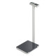 Báscula de baño Kern MPL 200K-1P 250kg