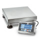 Balanza de plataforma Kern SFB 50K-3XL 50kg