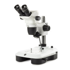 Estereoscopio Binocular NexiusZoom EVO Euromex con soporte columna iluminación incidente transmitida LED espejo