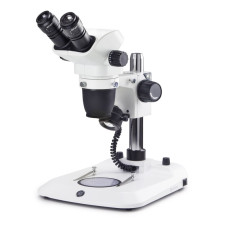 Estereoscopio Binocular NexiusZoom EVO Euromex zoom 1:8,4 cabezal 45° con iluminación LED