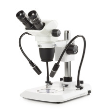 Estereoscopio Binocular NexiusZoom EVO Euromex cabezal binocular 45° soporte columna iluminación PG