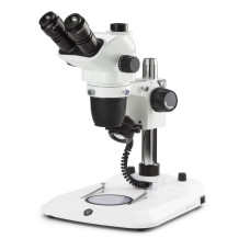 Estereoscopio Trinocular NexiusZoom EVO Euromex zoom 6,5x-23x cabezal trinocular 45°