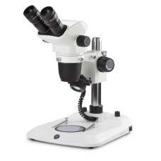 Estereoscopio Binocular NexiusZoom EVO Euromex zoom 1:8,4 rango 0,65x-5,5x estativo columna LED