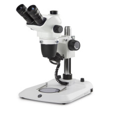 Estereoscopio Trinocular NexiusZoom EVO Euromex Zoom 1:6,7 Oculares HWF10x/22 mm