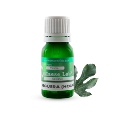 Esencia Aromática de Hojas de Higuera
