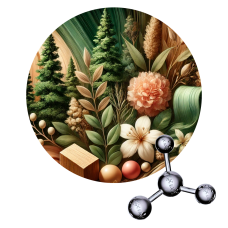 Sandal Fleur - Bacdanol (simil Firsantol)