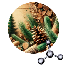 Hexyl Benzoate - Benzoato Hexilo
