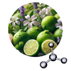 Dihidromircenol Aroma Chemicals
