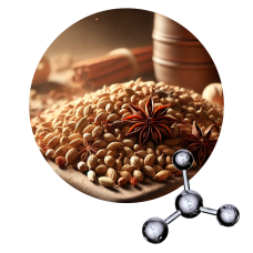 Acetato Vetikol