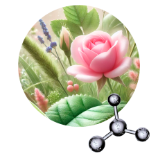 Alpha Amyl Cinnamic Aldehyde